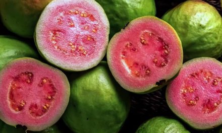 Tak Sangka! Jambu Biji Bikin Tekanan Darah Dan Kolesterol Stabil