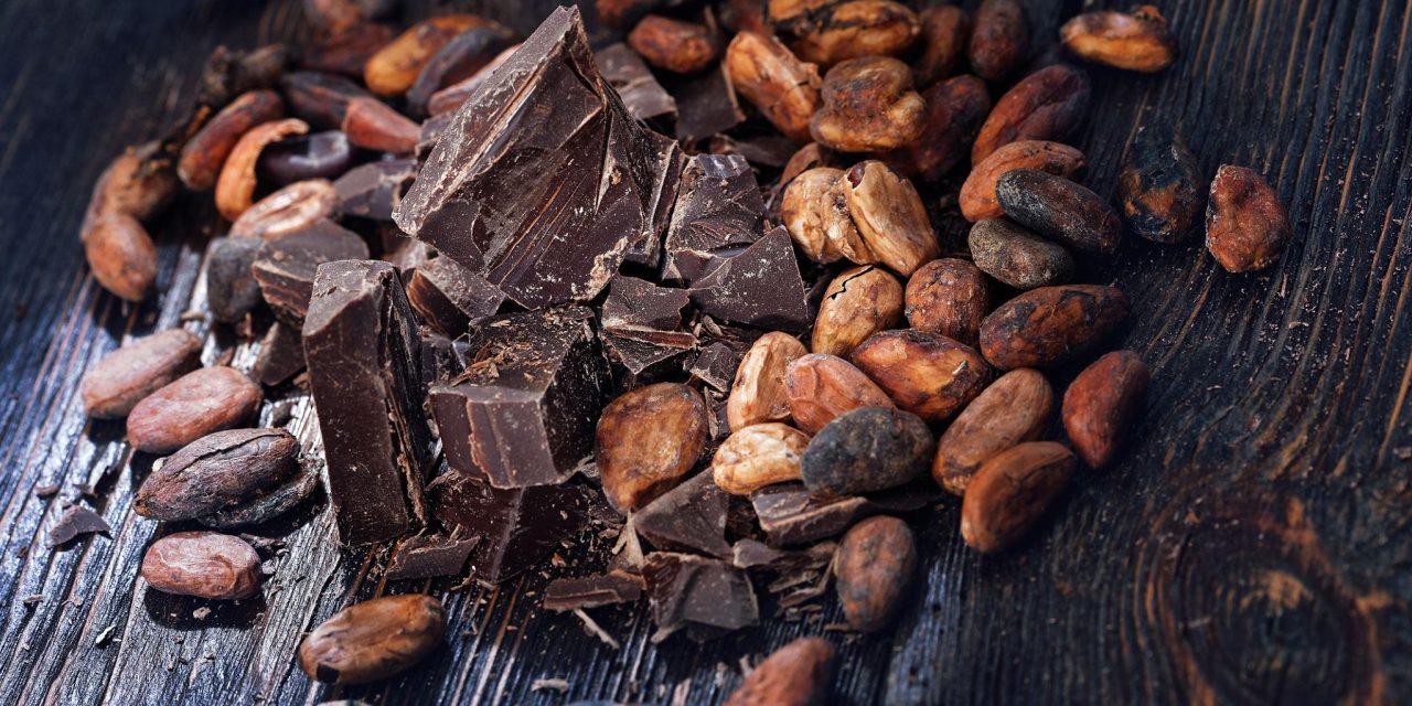 Camilan Pintar, Cokelat Hitam Bantu Lawan Radikal Bebas